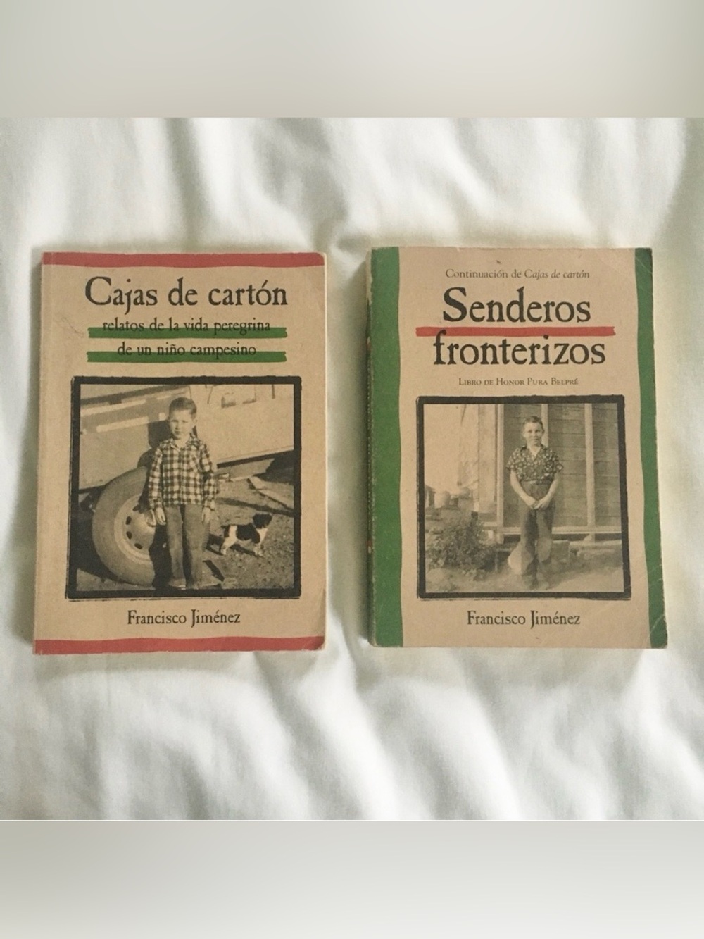 Spanish book bundle